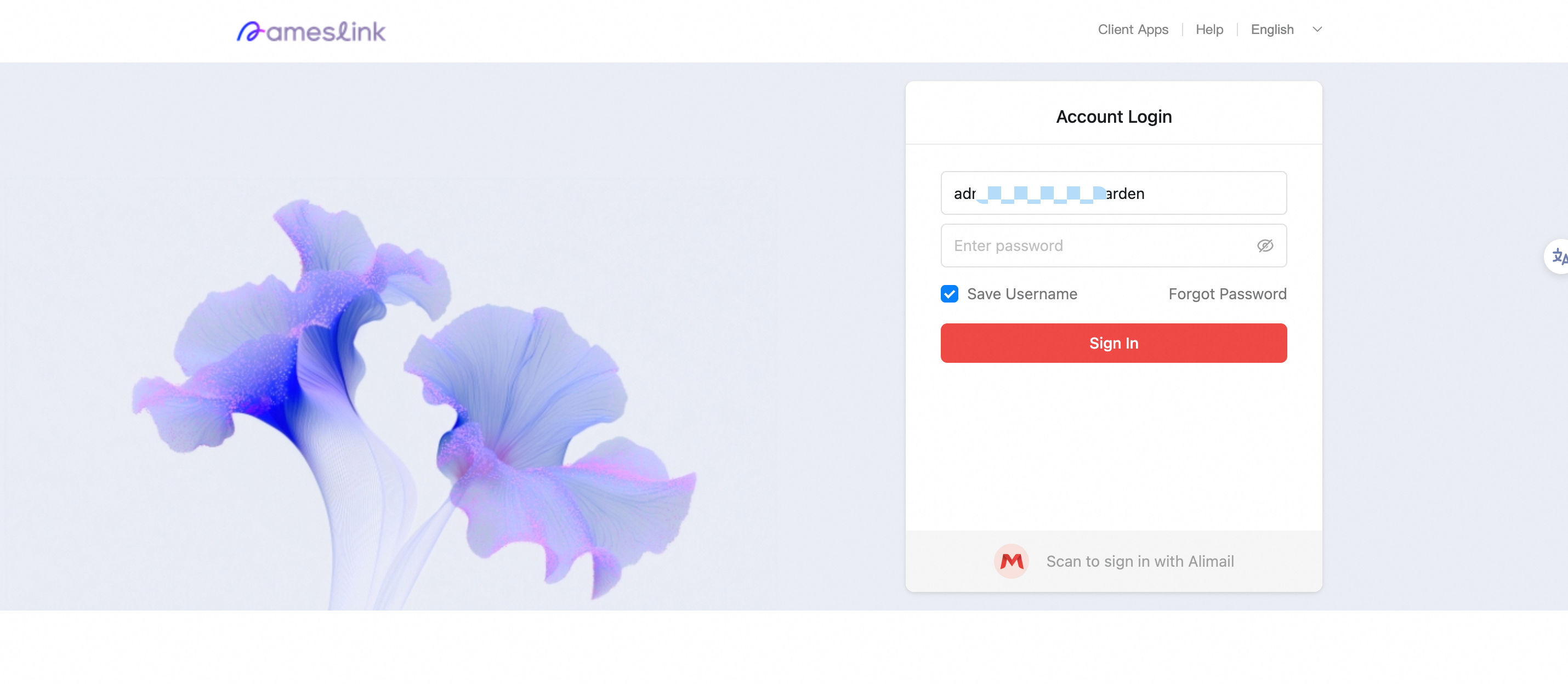 User mailbox login